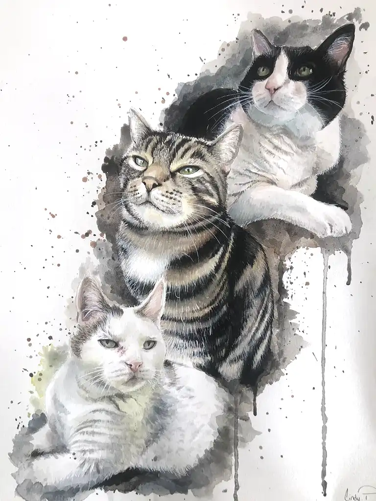 illustration de trois chats réalisés à l'aquarelle