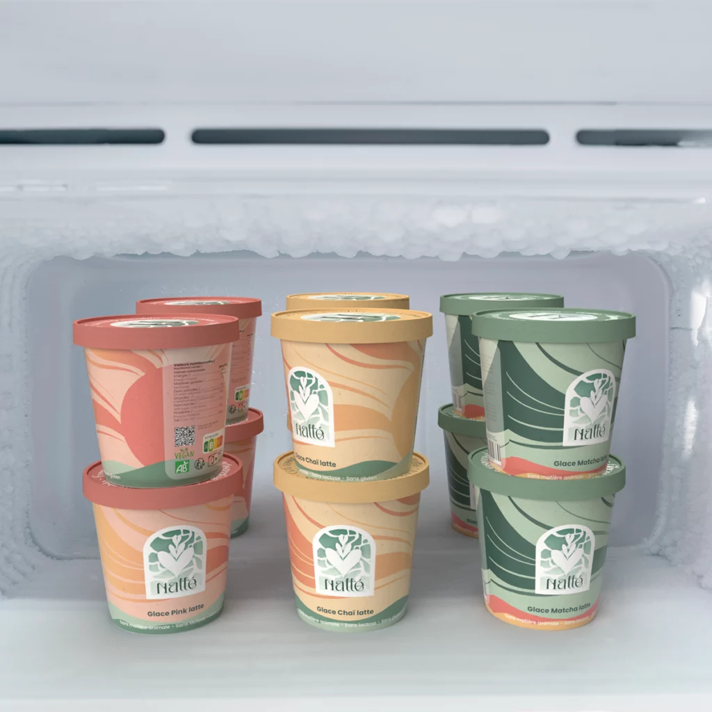 packaging pot de glace en situation dans un congèle